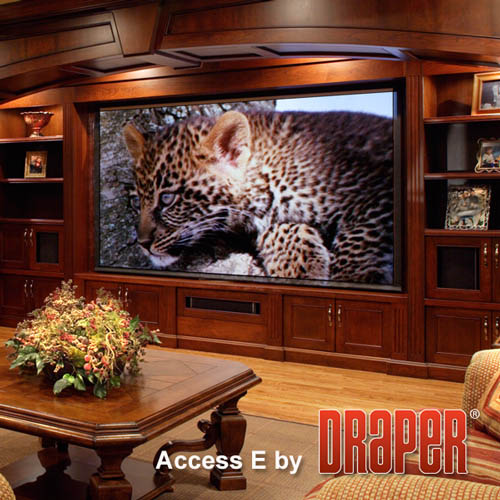 Draper 139022 Access/Series E 175 diag. (105x140) - Video [4:3] - Matt White XT1000E 1.0 Gain - [CUSTOM] - Image 7